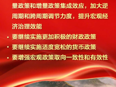 2025中央经济工作会议：聚焦高质量发展与风险防范政策解读