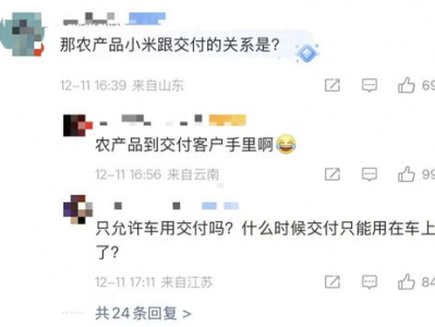 村支书卖小米引争议：诚信经营与投诉风波