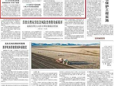 高礼商男友：提升生活品质的神秘力量