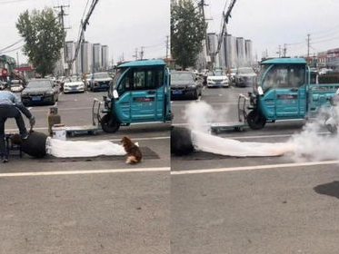 小狗经过爆米花摊位被“开锅暴击”