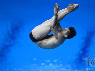 广东跳水收获6金1银2铜