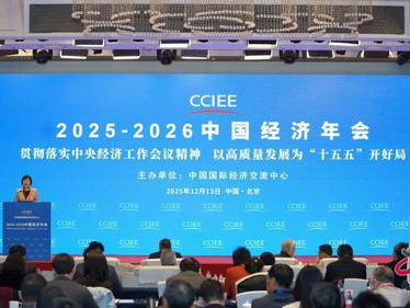 聚焦2025：中央经济工作会议解码新经济蓝图