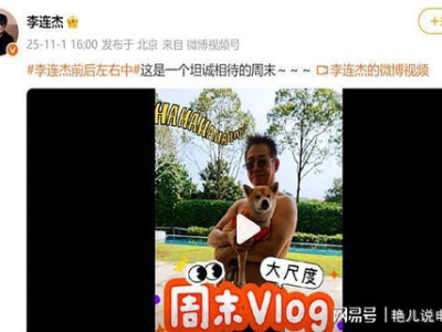 向太说李连杰憔悴是不修边幅