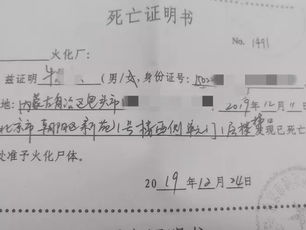14岁男生回应作文被质疑借助AI